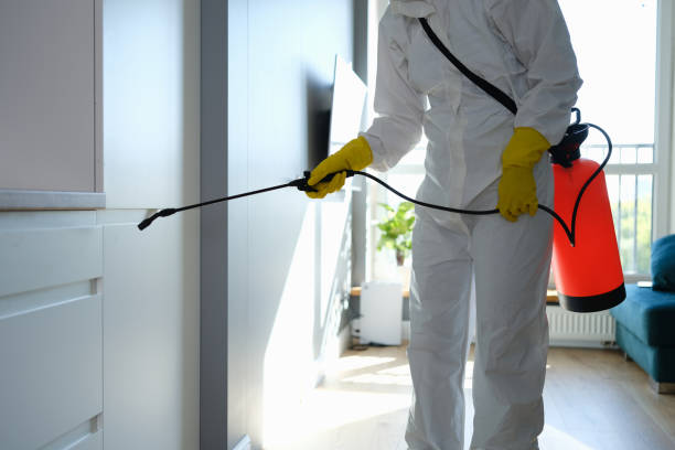 Best Mold Testing and Inspection Services in Kingsland, GA